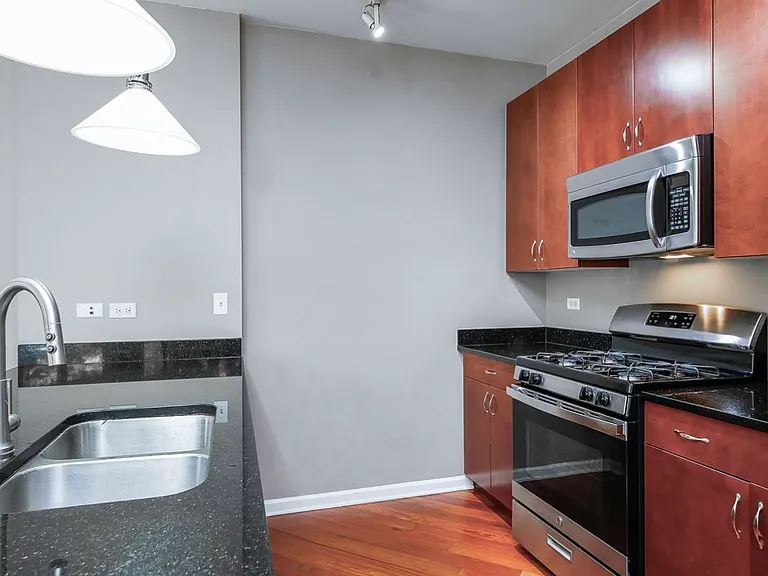 1407 S Halsted St #1B — Photo 11