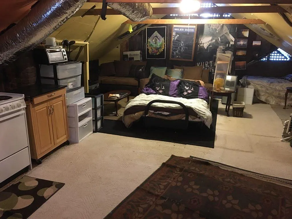 1 bed, 800 sqft, $850 — Photo 3