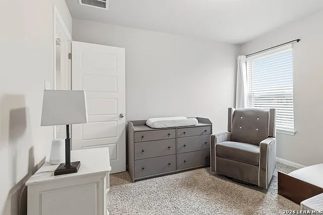 335 Shelton Pass — Photo 30
