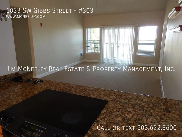 1033 SW Gibbs St #303 — Photo 7