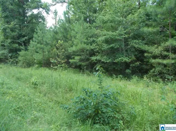 Valley Trl #500, Warrior, AL 35180