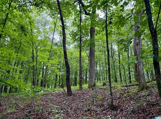 53756 Highway 25 #0, Vandiver, AL 35176