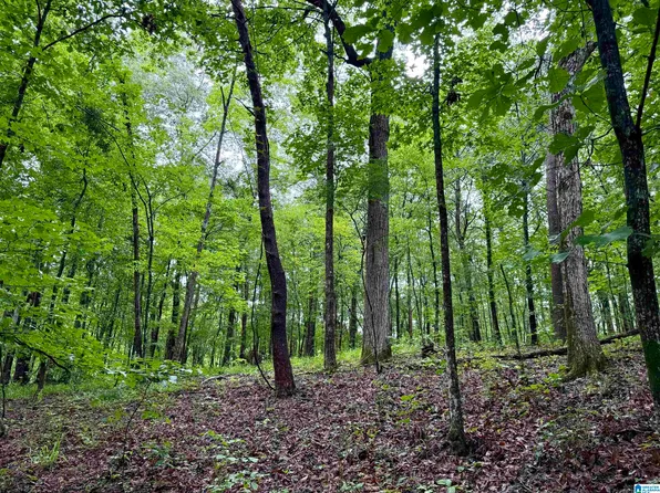 53756 Highway 25 #0, Vandiver, AL 35176