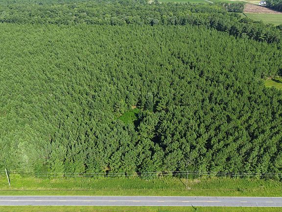 4th image of 999 Boyd Swamp Road
