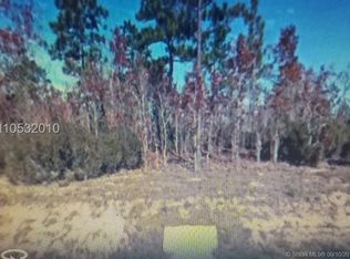 261 Whirlwind Loop, Hawthorne, FL 32640