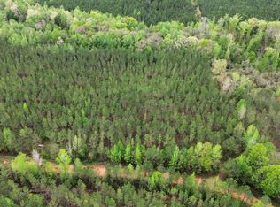 0 Pumpkin Creek Rd, Cuthbert, GA 39840