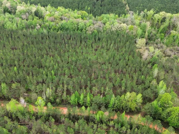 0 Pumpkin Creek Rd, Cuthbert, GA 39840