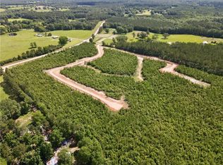PARCEL 3 Highway 436, Franklinton, LA 70438