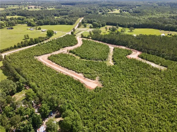PARCEL 3 Highway 436, Franklinton, LA 70438