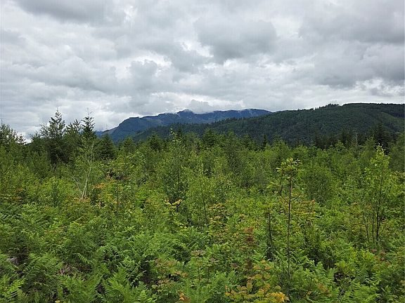 5th image of 9242 Heady Road