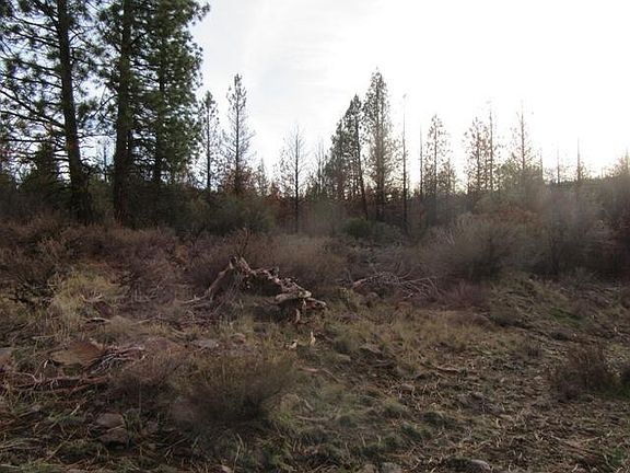 3rd image of 0 Polar Bear Ln Lot 4
