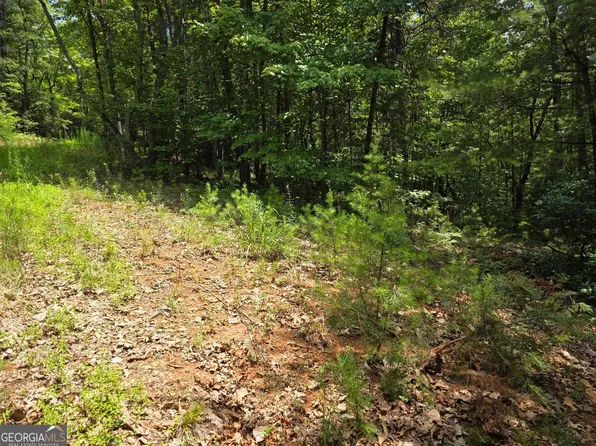 14 & 6 Bean Creek Rd, Sautee Nacoochee, GA 30571