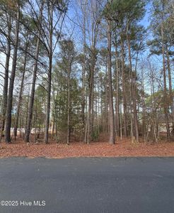159 Laurel Oak Ln Lot 38, Pinebluff, NC, 28373