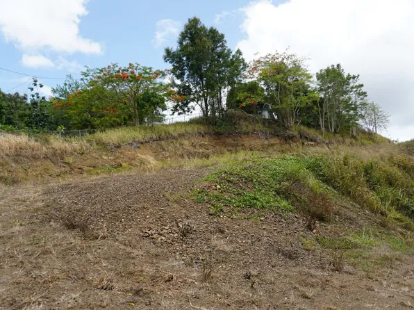 Urb Colinas View Finca 25729 Solar #3, Vega Alta, PR 00692