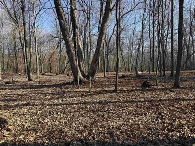 25 Acres Lerch Road, Arlington, WI, 53911