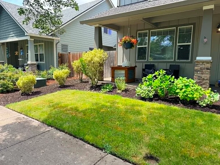 Recent photo of front yard