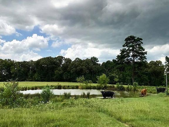 4th image of 894 County Road 4908