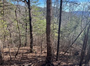 1 Vance Gap Rd, Asheville, NC 28801