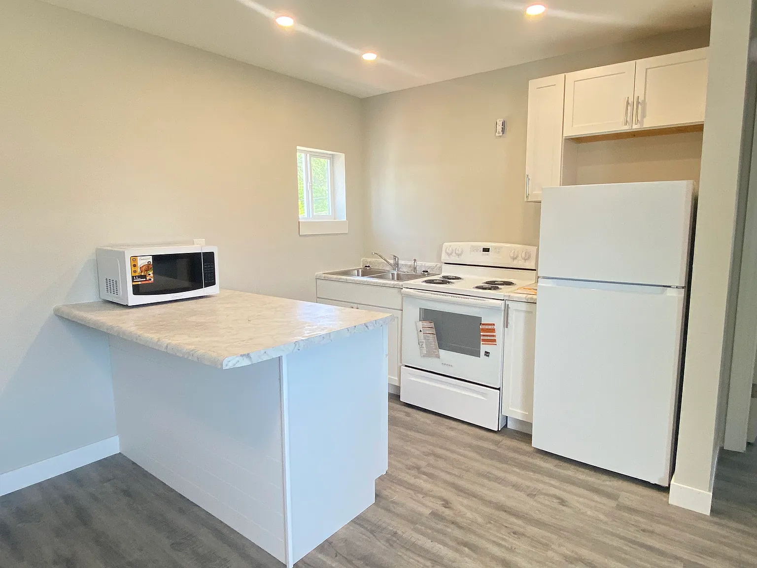 1 bed, 700 sqft, $1,300 — Photo 3