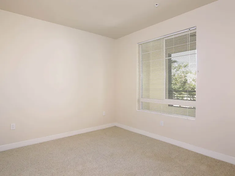 Carpeted Bedroom