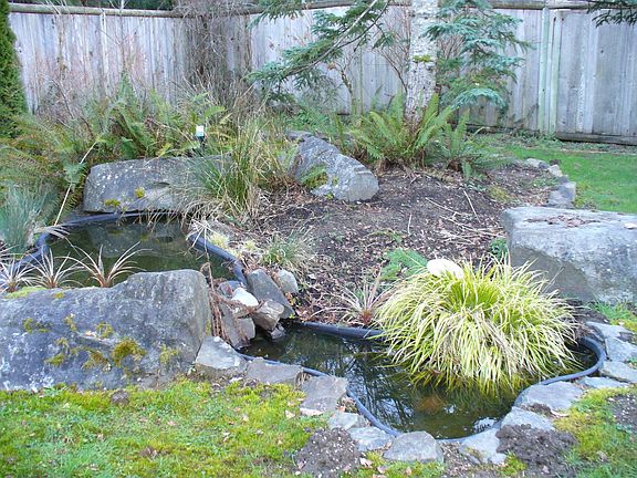private back yard