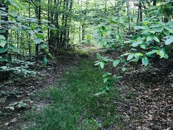 0 Heaston Ridge Rd, Crawford, WV 26343