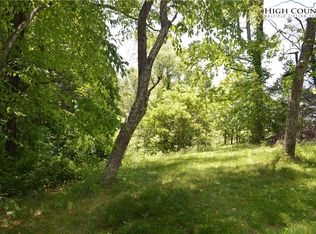 1 Buckeye Ridge Run, Sparta, NC 28675