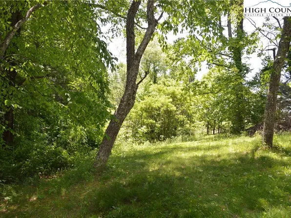 Lot # 1 Buckeye Ridge, Sparta, NC 28675