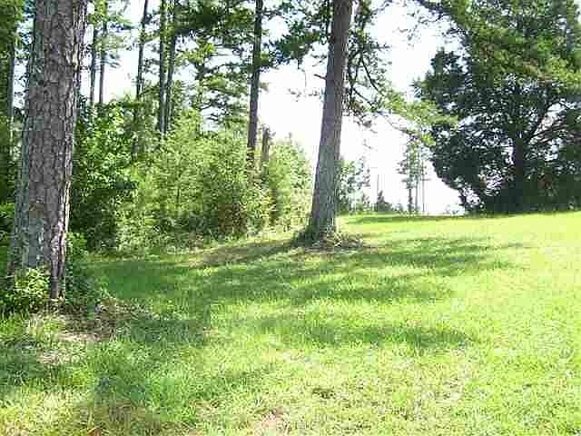 1st image of 102 White Willow Ct
