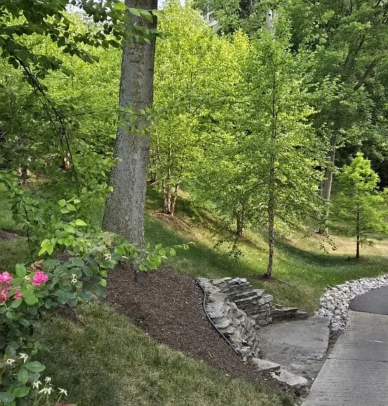 342 Forest Ave #C1 — Photo 34