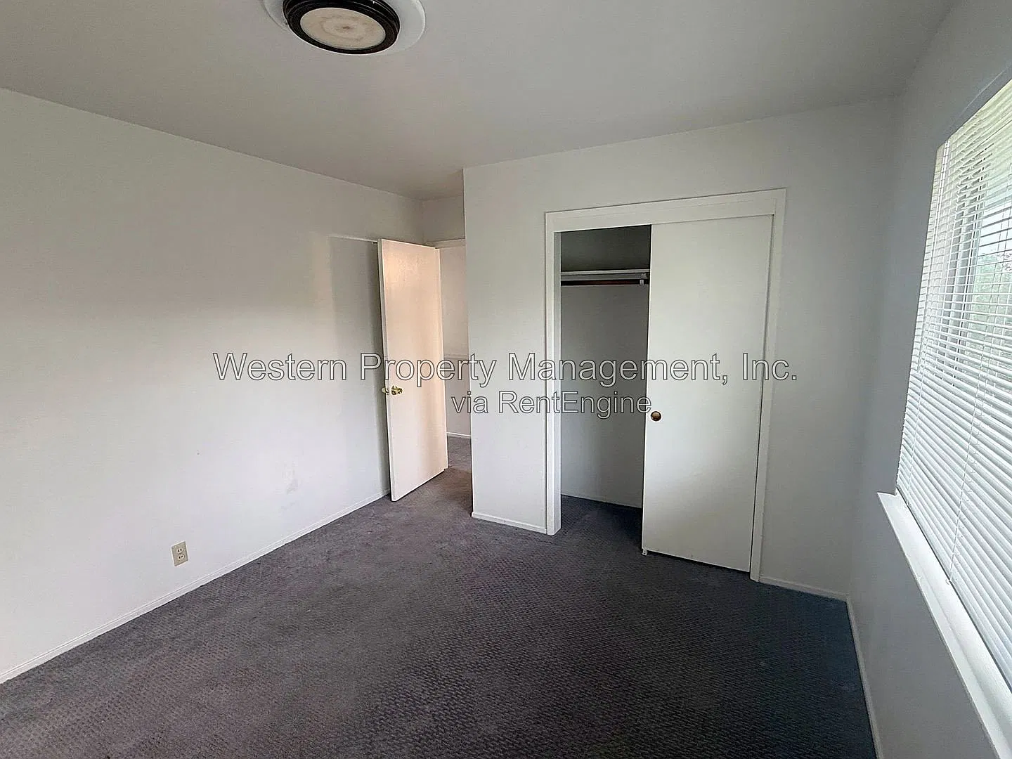 2 bed, 1.5 bath, 800 sqft, $2,795 — Photo 4