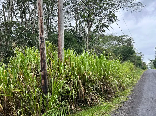14th Ave Lot 1001, Keaau, HI 96749