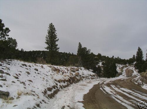 PRICE REDUCED BY 20% !!!