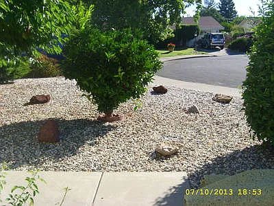 158 Olympic Cir photo 1