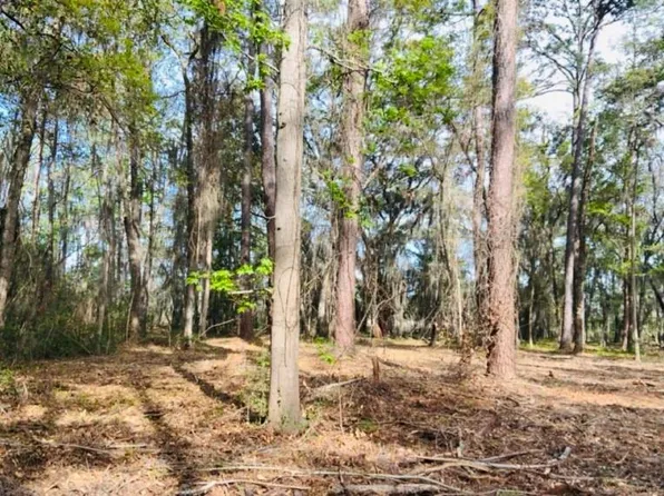 0 W Black Island Rd SE #8, Darien, GA 31305