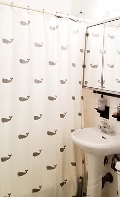 Rented by Yorgan Group, LLC | media 5