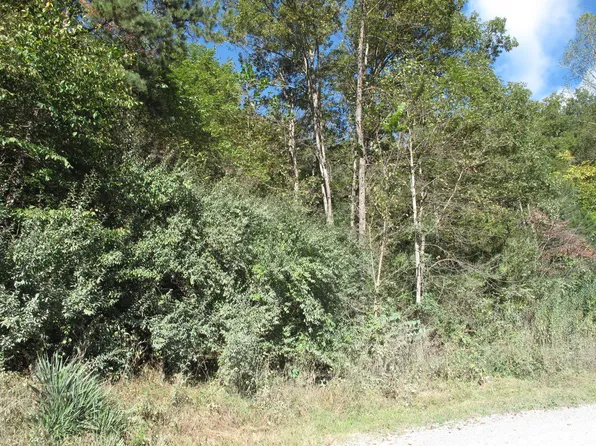 Back Valley Rd, La Follette, TN 37766