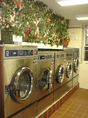 Rented by Prime Realty | media 5