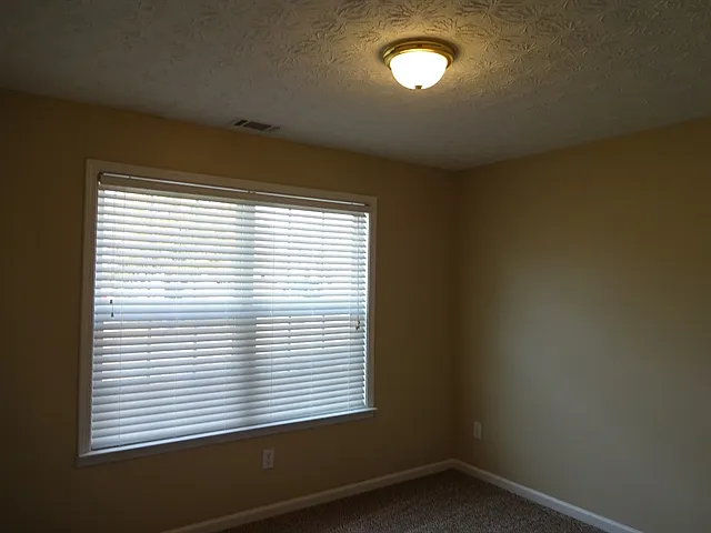 1633 Virgil Pond Ln — Photo 14