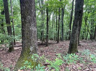 311 Willowridge Dr, Thaxton, VA 24174