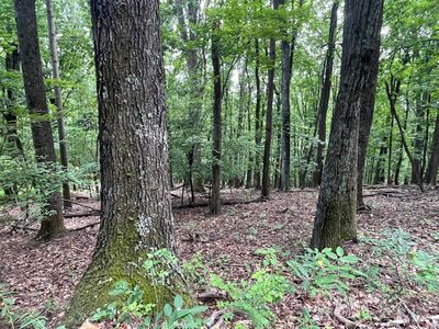 311 Willowridge Dr LOT 47, Thaxton, VA, 24174