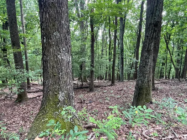 311 Willowridge Dr Lot 47, Thaxton, VA 24174
