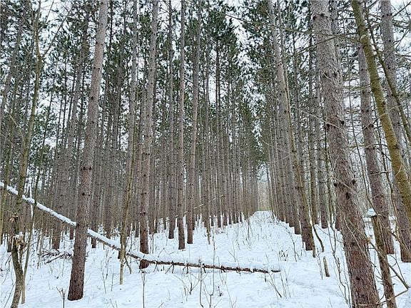 5th image of 20 Acres Star Lake Road