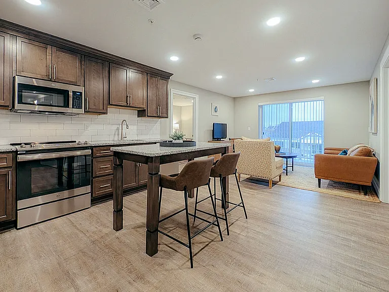 C3 Model - Kitchen-Living Room