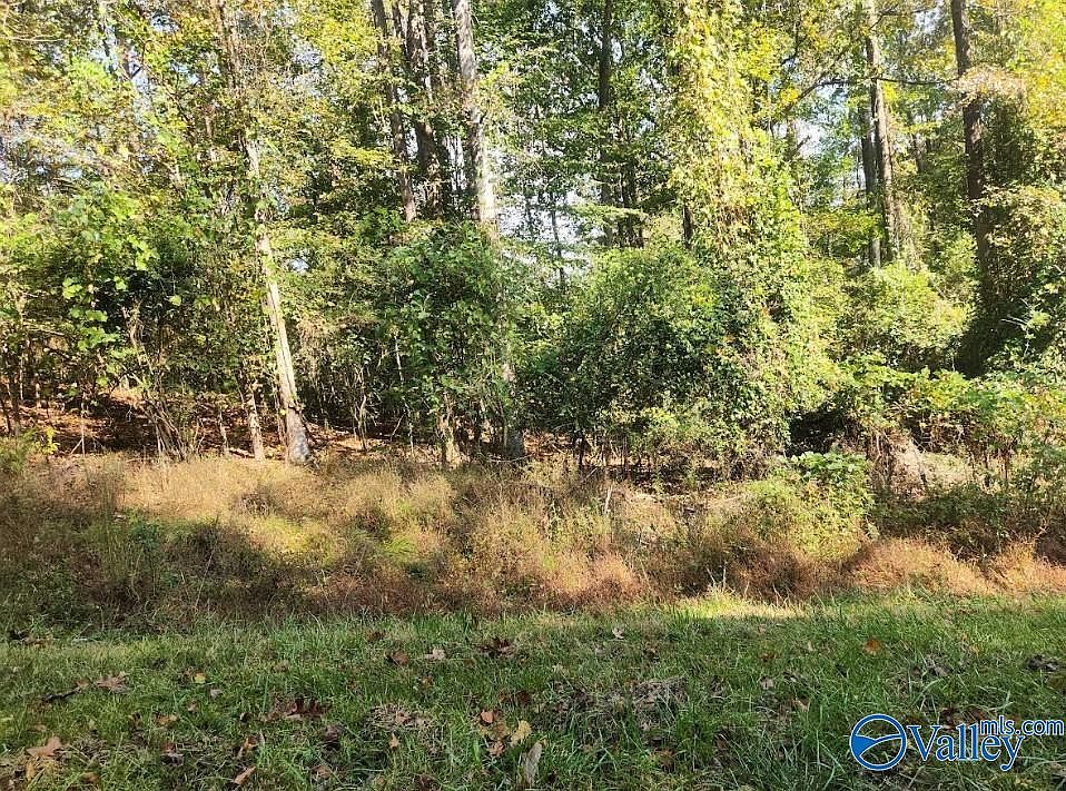 2nd image of 127 Walnut St