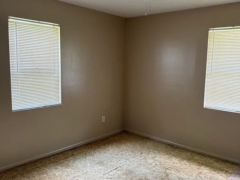4187 Lewis Frasier Rd — Photo 16