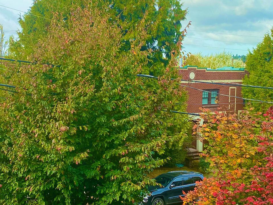 Peaceful, tree-lined street