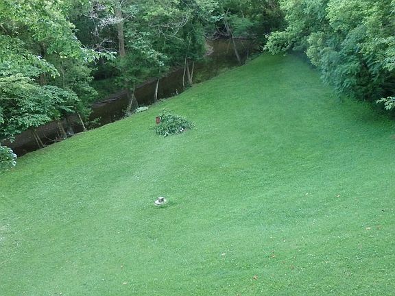 Backyard with creek