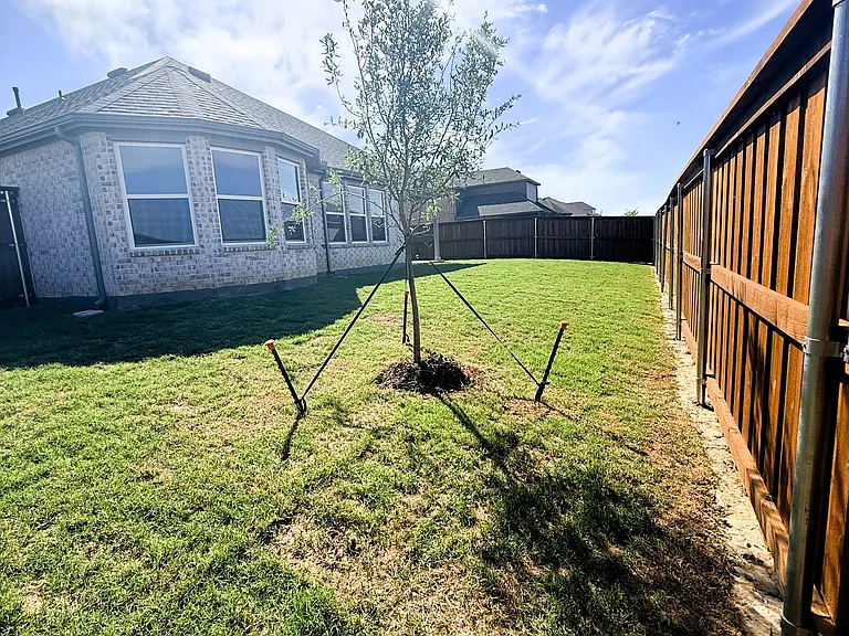 4349 Noble Ln — Photo 23