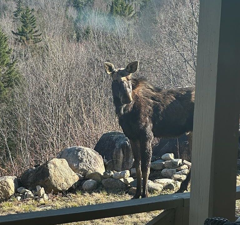 174 Sky View Road, North Stratford, NH 03590 Zillow
